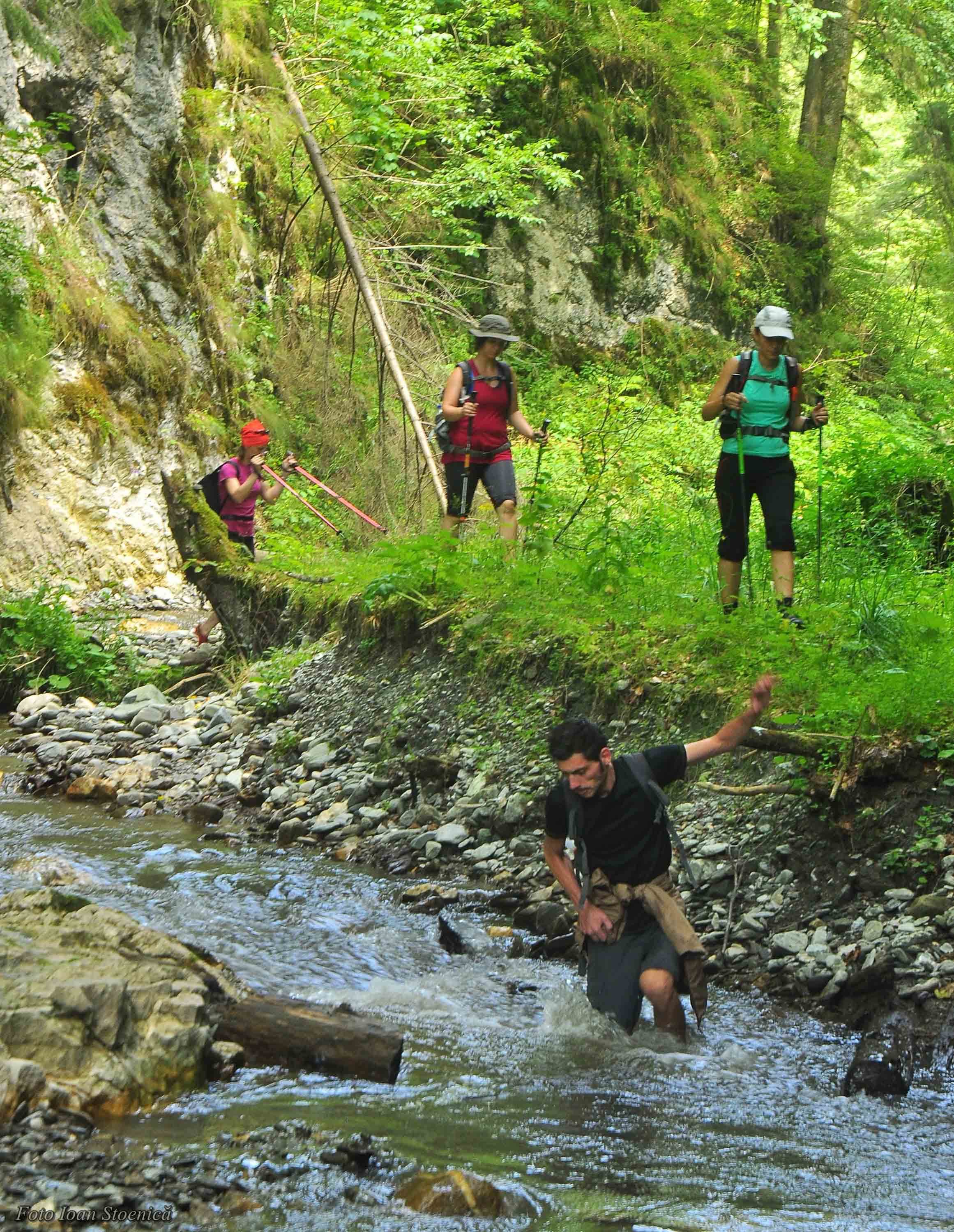 Drumetie prin cheile ghimbavului in iulie 2016
